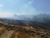 Manyas'ta Anız Yangını Korkuttu Haberi