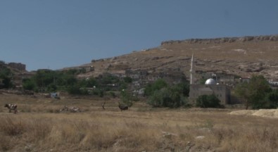 Terör Örgütü PKK'nın Cevizli Saldırısı Unutulmuyor