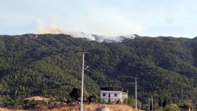 Aydın'da Çamlık Alanda Çıkan Orman Yangınına Müdahale Ediliyor