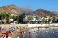 Bodrum'daki Yangın 4 Saatte Kontrol Altına Alındı, 50 Hektarlık Alan Kül Oldu