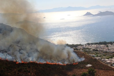 Bodrum'daki Yangın 4 Saatte Kontrol Altına Alındı