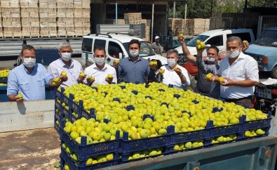 Buharkent'in Taze İnciri Bayrama Yetişti