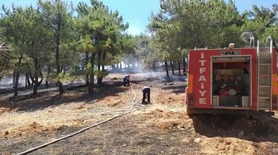 Gaziantep'teki Orman Yangını Söndürüldü