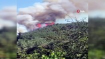 GÜNCELLEME - İzmir'de Orman Yangını Çıktı