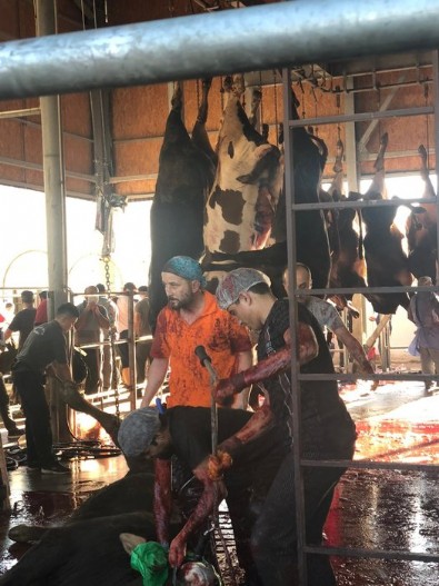 İBB'den kurban rezaleti! Vatandaşın hayvanı askıda kaldı, kasaplar kaçtı...