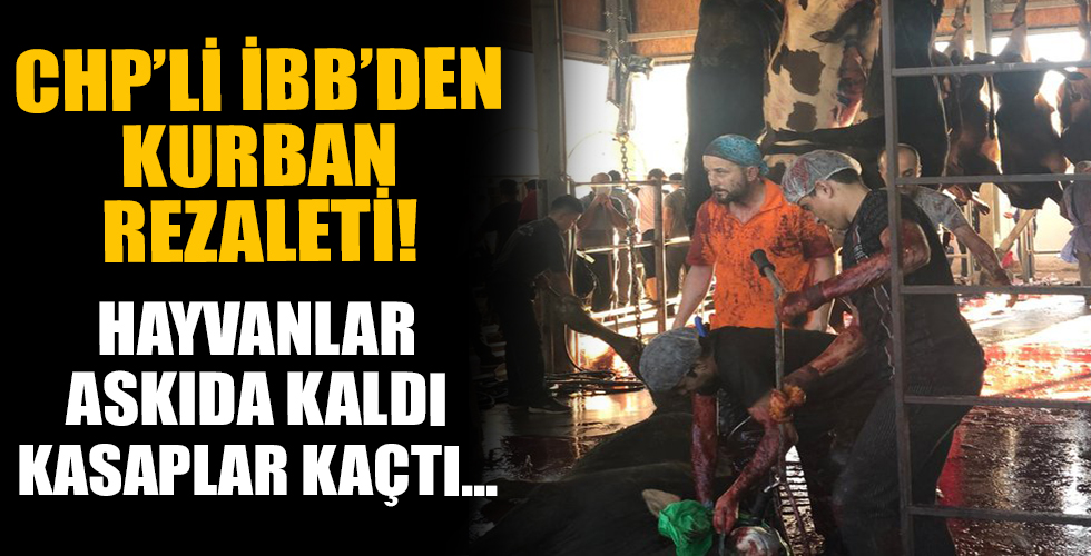 İBB'den kurban rezaleti! Vatandaşın hayvanı askıda kaldı, kasaplar kaçtı...