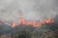 İzmir'de Menderes'in Ardından Bornova'da Da Yangın Çıktı