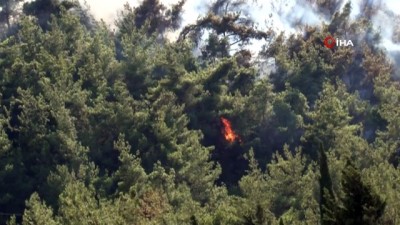 İzmir'de Orman Yangını Çıktı