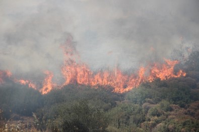 İzmir'deki Yangınların Ardından İtfaiye Personellerinin İzinleri Kaldırıldı
