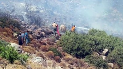 İzmir'in Kemalpaşa İlçesinde Orman Yangını Çıktı