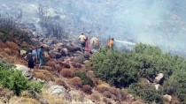 İzmir'in Kemalpaşa İlçesinde Orman Yangını Çıktı Haberi