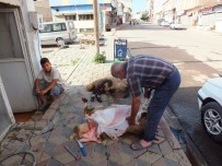 Malazgirtli İş Adamından Kurban Eti Dağıtımı