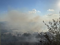 Maltepe'de Askeri Alanda Çıkan Yangın Kontrol Altına Alındı