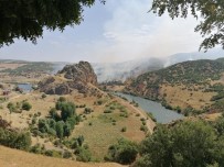 Elazığ'da Ki Orman Yangını Söndürüldü, 150 Dönüm Alan Zarar Gördü Haberi