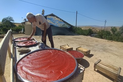 Elazığ'da Odun Ateşinde Salça Mesaisi Başladı