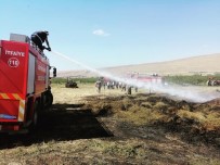 Gürpınar'da 5 Bin Bağ Ot Yandı