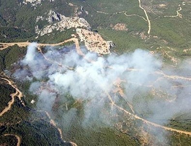 O yangınla ilgili bakanlıktan açıklama!