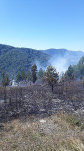 Kastamonu'da Ormanlık Alanda Çıkan Yangını Köylüler Söndürdü