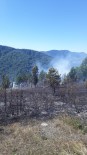 Kastamonu'da Ormanlık Alanda Çıkan Yangını Köylüler Söndürdü Haberi
