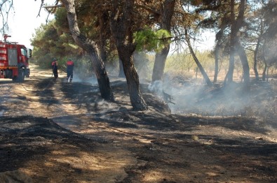 Keşan Kaymakamlığı'ndan Orman Yangınlarına Karşı Acil Önlem Kararları
