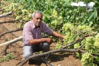Manisa'da Çiftçileri Sel Felaketi Vurdu Haberi
