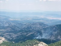 Muğla'da Orman Yangını Haberi