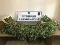 Nevşehir'de 2 Kilo Esrar Ele Geçirildi