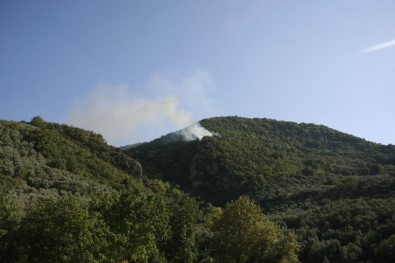 Bağ Evindeki Yangın Ormanlık Alana Sıçradı