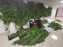 Çorum Polisinden Uyuşturucu Operasyonu