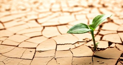 'Dünyada 2050 Yılına Kadar Her 4 İnsandan Birinin Su Sıkıntısı Olacak'