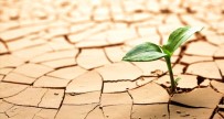 'Dünyada 2050 Yılına Kadar Her 4 İnsandan Birinin Su Sıkıntısı Olacak'