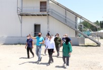 Genel Sekreter Türkman Erciş İlçesinde İncelemelerde Bulundu