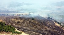 GÜNCELLEME 2 - Sakarya'daki Orman Yangını Kontrol Altına Alındı