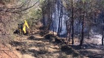 GÜNCELLEME - Sakarya'da Orman Yangını Çıktı