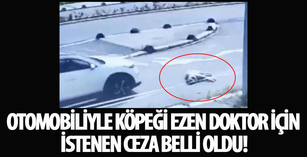 İstanbul'da, aracıyla köpeğin üzerinden geçerek ölümüne neden olan doktora dava