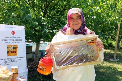 Organik Balın Hanım Ağası Yılda 1.5 Ton Bal Üretiyor