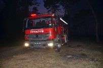 Samsun'daki Sazlık Yangını Kontrol Altına Alındı