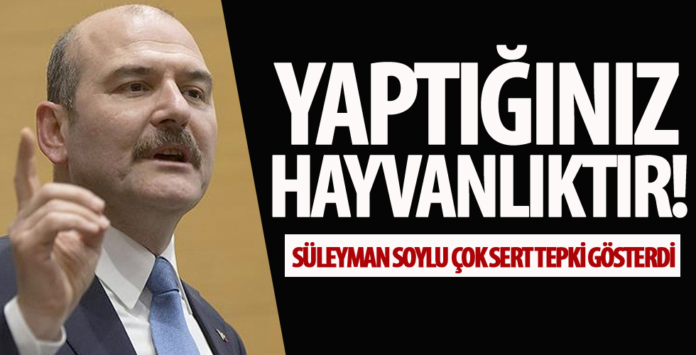 Süleyman Soylu çok sert tepki gösterdi