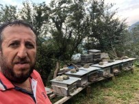 Trabzonlu Bal Üreticisi Arı Sokması Sonucu Hayatını Kaybetti Haberi