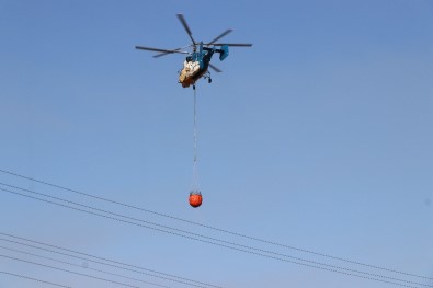 Tutuşan Balya Makinesi 8 Hektar Ormanlık Alanı Kül Etti