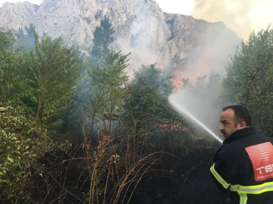 Amasya'da Yangın Açıklaması 5 Dönüm Alan Zarar Gördü