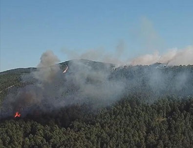 Aydos yangını kontrol altında!