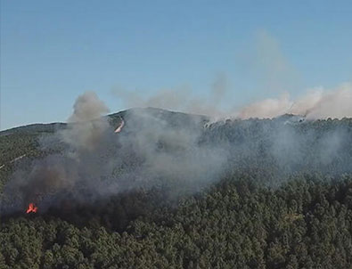 Aydos yangını kontrol altında!