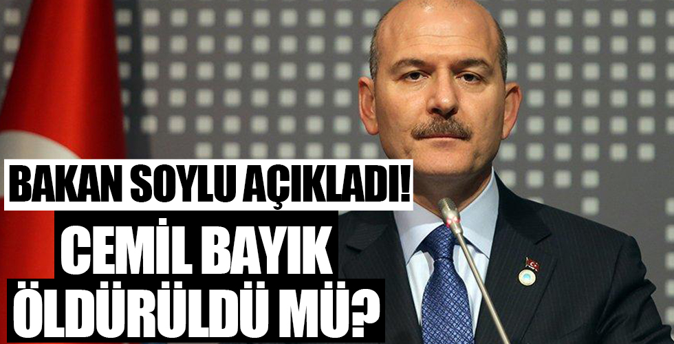 Bakan Soylu duyurdu: Yıldırım 5 operasyonu başlatıldı