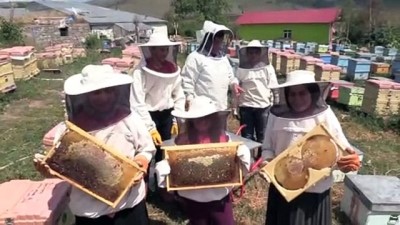 Coğrafi İşaretli Ardahan Çiçek Balında 'En Tatlı Heyecan' Başladı