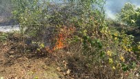 Düzce'de Orman Yangını Açıklaması 4 Hektar Alan Kül Oldu Haberi