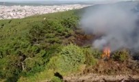 İstanbul Valiliği Açıklaması 'Aydos Ormanı'ndaki Yangın Kontrol Altına Alındı' Haberi