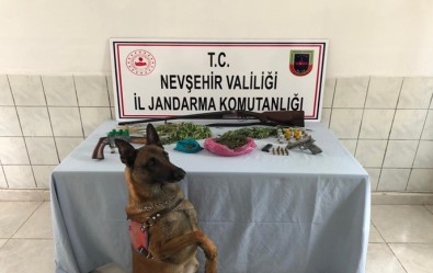 Jandarma Ekipleri Gülşehir'de Uyuşturucu Operasyonu Yaptı