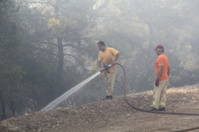 Menderes'teki Orman Yangınıyla İlgili Flaş Gelişme