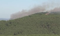 Sancaktepe Aydos Ormanları'nda Yangın Çıktı Haberi